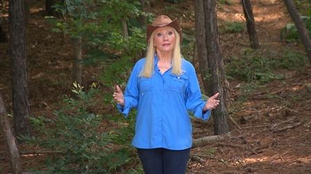 Video thumbnail: Georgia Outdoors Brawl Of The Wild (And Now You Know)