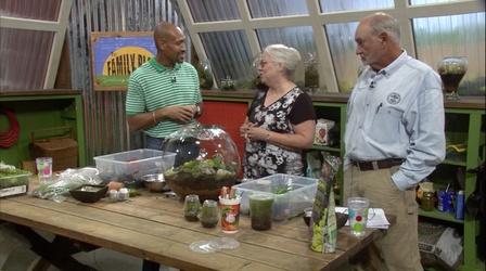 Video thumbnail: The Family Plot Terrariums & Corn check-in