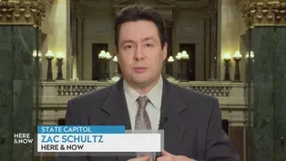 Zac Schultz on Redistricting Maps, Incumbents and Elections