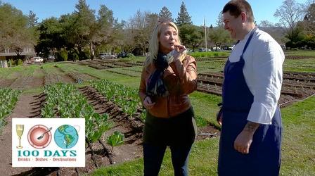 Video thumbnail: 100 Days, Dishes, Drinks & Destinations Savor the Senses