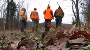 Quail Hunt; Fishing Legend David Hayes