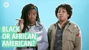 Are You "Black" or "African American?"