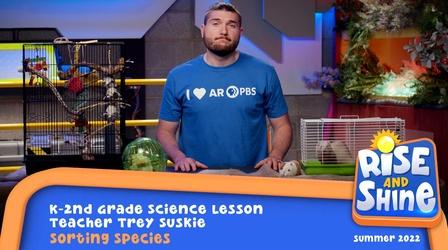 Video thumbnail: Rise and Shine Trey Suskie - Sorting Species