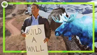 Should the USA Build a Wall on BOTH of its Borders?
