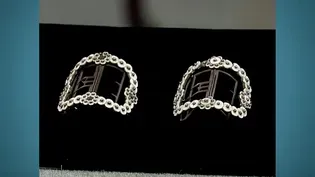 Appraisal: General Oglethorpe Shoe Buckles, ca. 1740