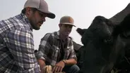 202: What If: Upstream Farms