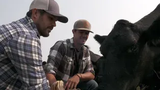 202: What If: Upstream Farms
