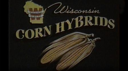 Video thumbnail: PBS Wisconsin Documentaries Food Fight: Wisconsin's Biotech Crops