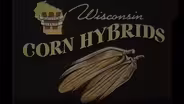 Food Fight: Wisconsin's Biotech Crops