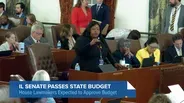 Spotlight Politics: Breaking Down the State Budget