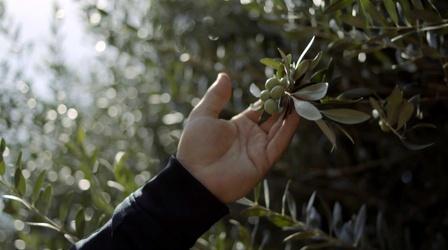 Video thumbnail: Tending Nature Reclaiming Agriculture with the Yocha Dehe Wintun Nation