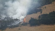 Wildfire Danger & Annual Blooming Plant Care
