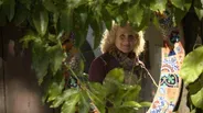 The Art of a Garden