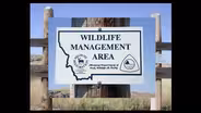 Part 2: Restoring Montana's Wildlife