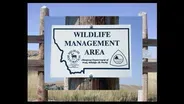 Part 2: Restoring Montana's Wildlife