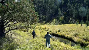 Researching red-bellied snakes of the Black Hills.