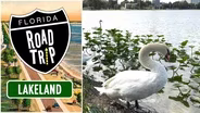 Florida Road Trip | Lakeland Preview