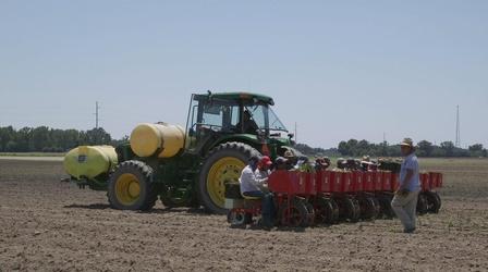 Video thumbnail: SCI NC Designing the perfect weed killer