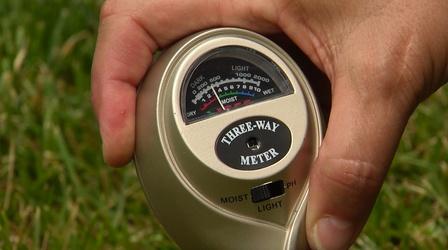 Video thumbnail: Virginia Home Grown Watering Smart with Technology