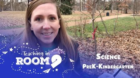 Video thumbnail: Teaching in Room 9 Scientists Observe | PreK-Kindergarten Science