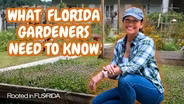 10 Things You Need to Know About Florida Gardening