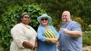 Field Trip to an Heirloom Watermelon Patch