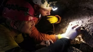 Cave Critters, Sand Sifting, Umpqua Steelhead Guardian