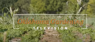 Oklahoma Gardening October 26, 2024