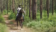 Preview | Trails