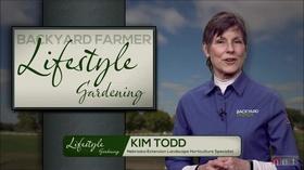 Video thumbnail: Backyard Farmer Bacyard Farmer: Lifestyle Gardening: Tree and Shrub Health