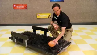 Science Minutes: Bed of Nails