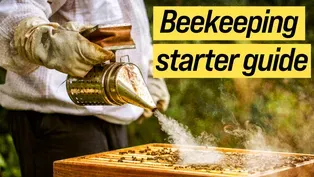 Beekeeping: Getting Started