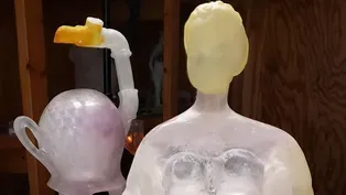 Robert Bender on his work