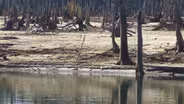 Drought conditions raise wildfire threat
