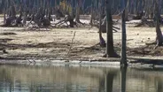Drought conditions raise wildfire threat