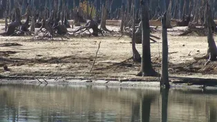 Drought conditions raise wildfire threat