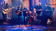 Laney Lou & The Bird Dogs