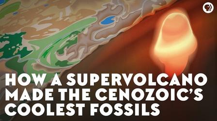 Video thumbnail: Eons How a Supervolcano Made the Cenozoic’s Coolest Fossils