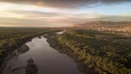 The Future of the Forests