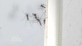 Video thumbnail: Your South Florida May 17th, 2019