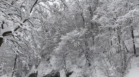 Video thumbnail: PBS NewsHour News Wrap: Wind chill warnings stretch across Eastern U.S.