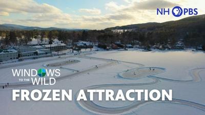 Frozen Attraction