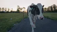 Faces of Vermont Agriculture