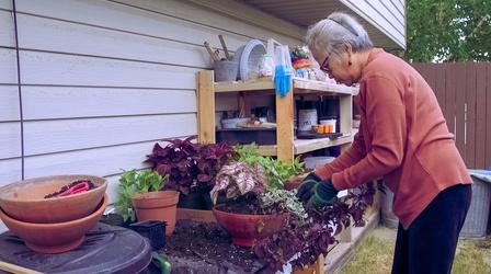 Video thumbnail: Modern Gardener Gardening as Art | Garden Glimpse