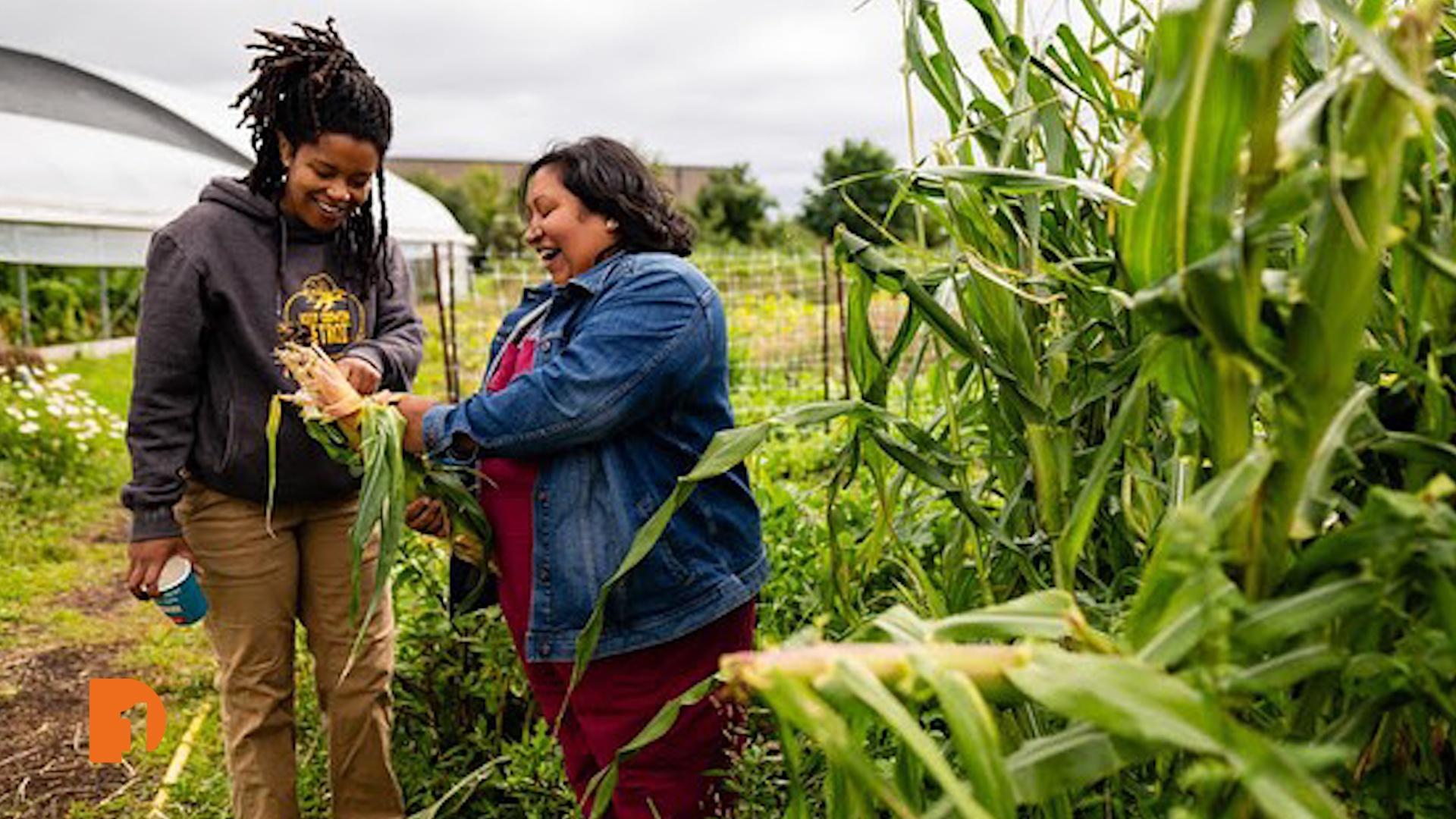 What happened when the - Family Farm Seaside Community