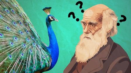 Video thumbnail: Be Smart The Surprising Power of Sex in Evolution