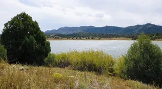 Ducklings Told to Protect the Lake