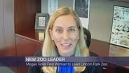 Lincoln Park Zoo Names Megan Ross as Next Leader