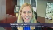 Lincoln Park Zoo Names Megan Ross as Next Leader