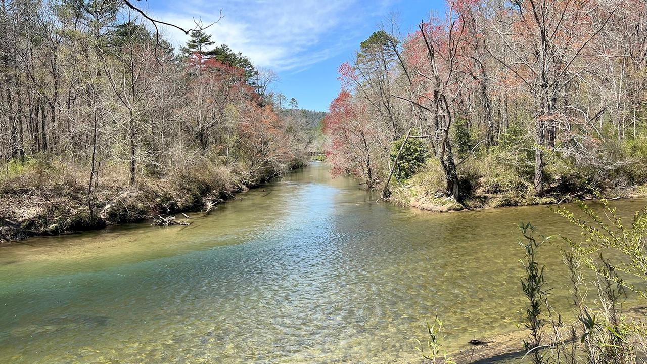 Making It Grow | Rivercane, Coneflowers, and Vinegar | Season 2022 |  Episode 21 | PBS